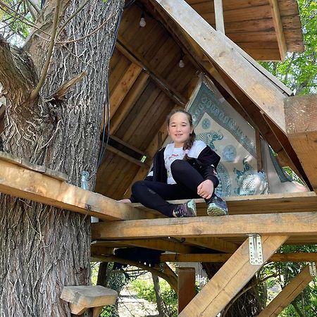 Casa Din Povesti In Mijlocul Naturii! Arad Exterior foto